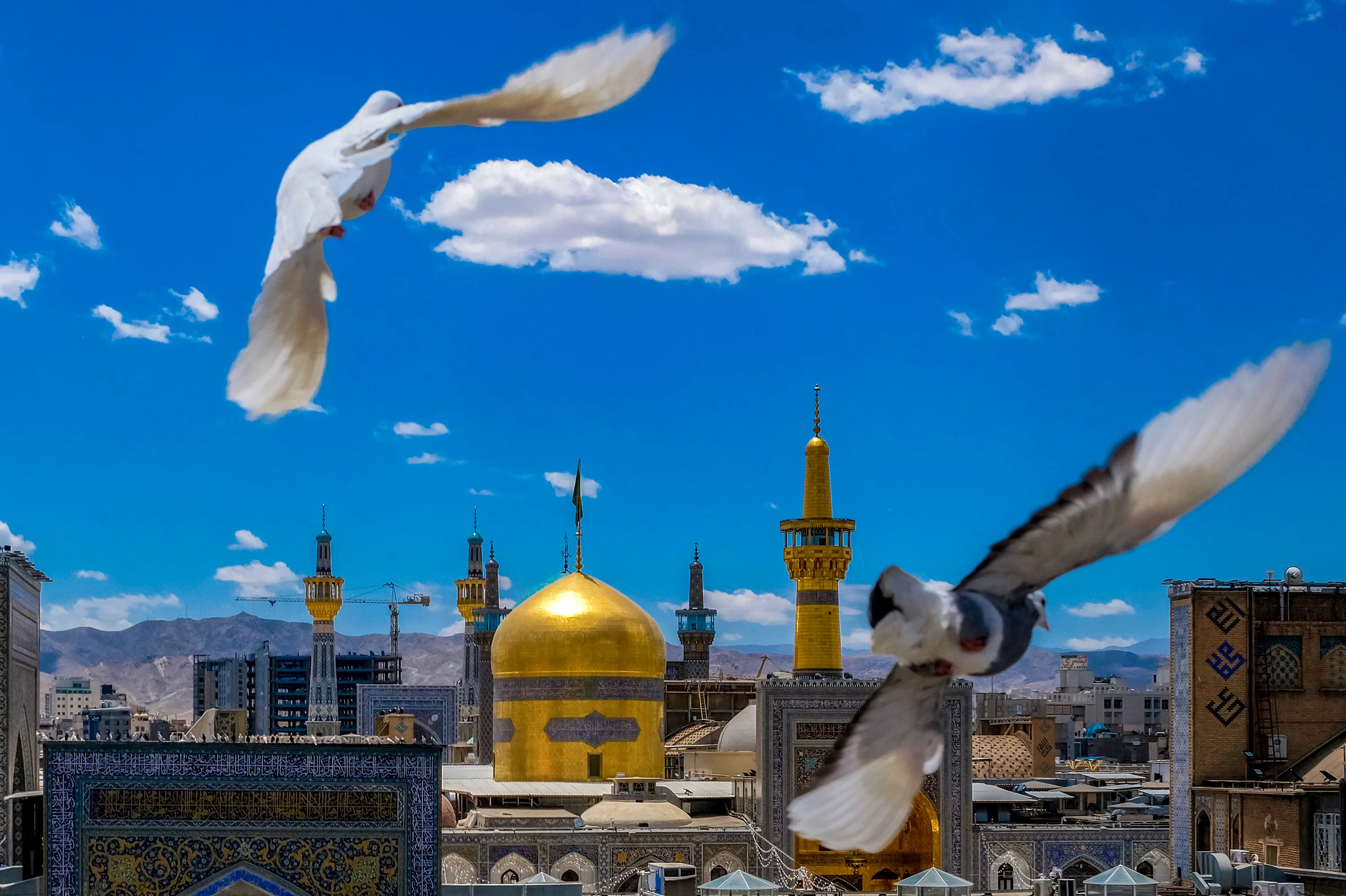 حرم امام رضا (ع)